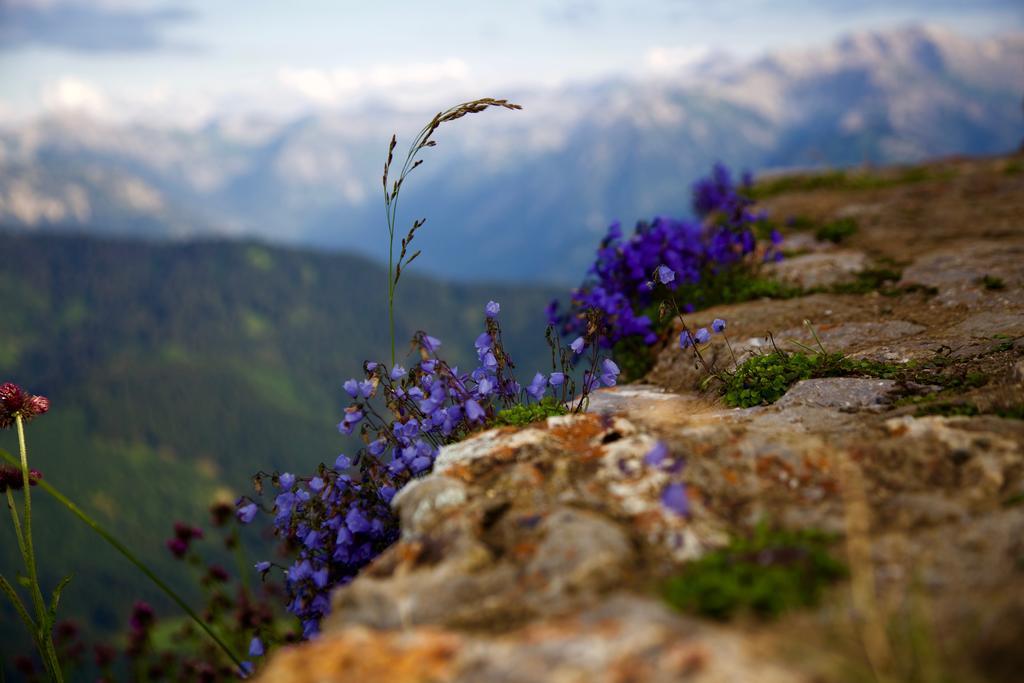 Landhotel Gruben Oberstdorf Kültér fotó
